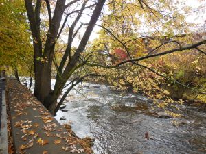 DSCN0931