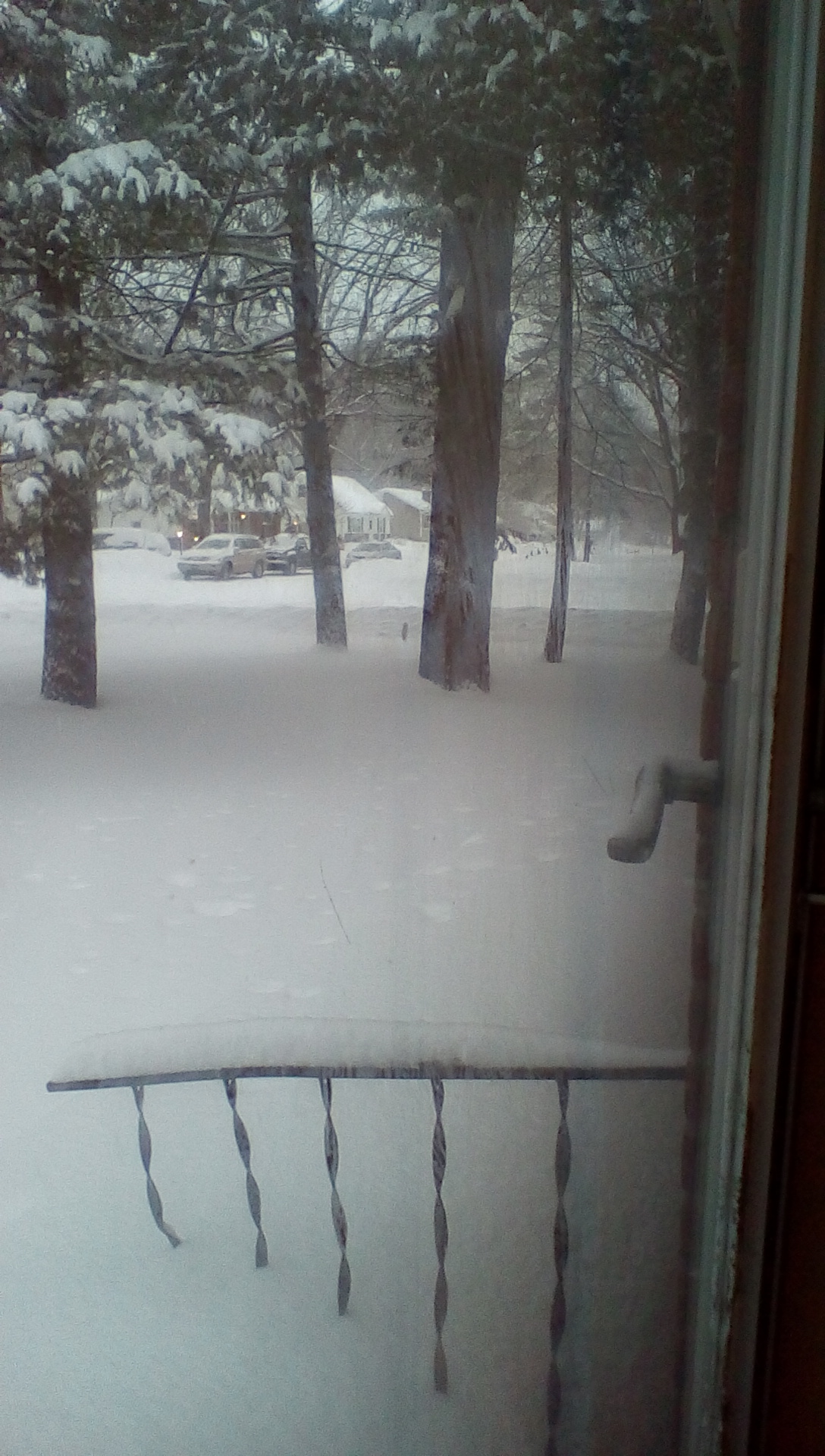 wp-1422911379917 image