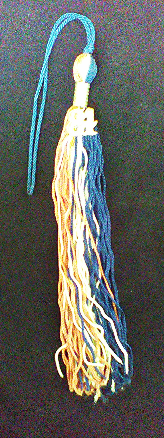 IMG_20150617_115916_kindlephoto-9558162.jpg image