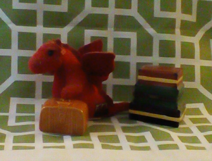 IMG_20150724_144929_kindlephoto-17239423.jpg image