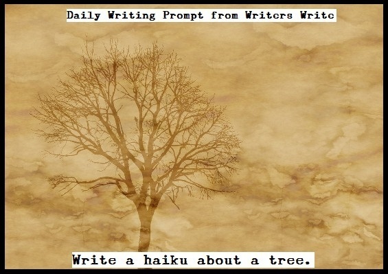 medium_Daily_Writing_Prompt_13.jpg image