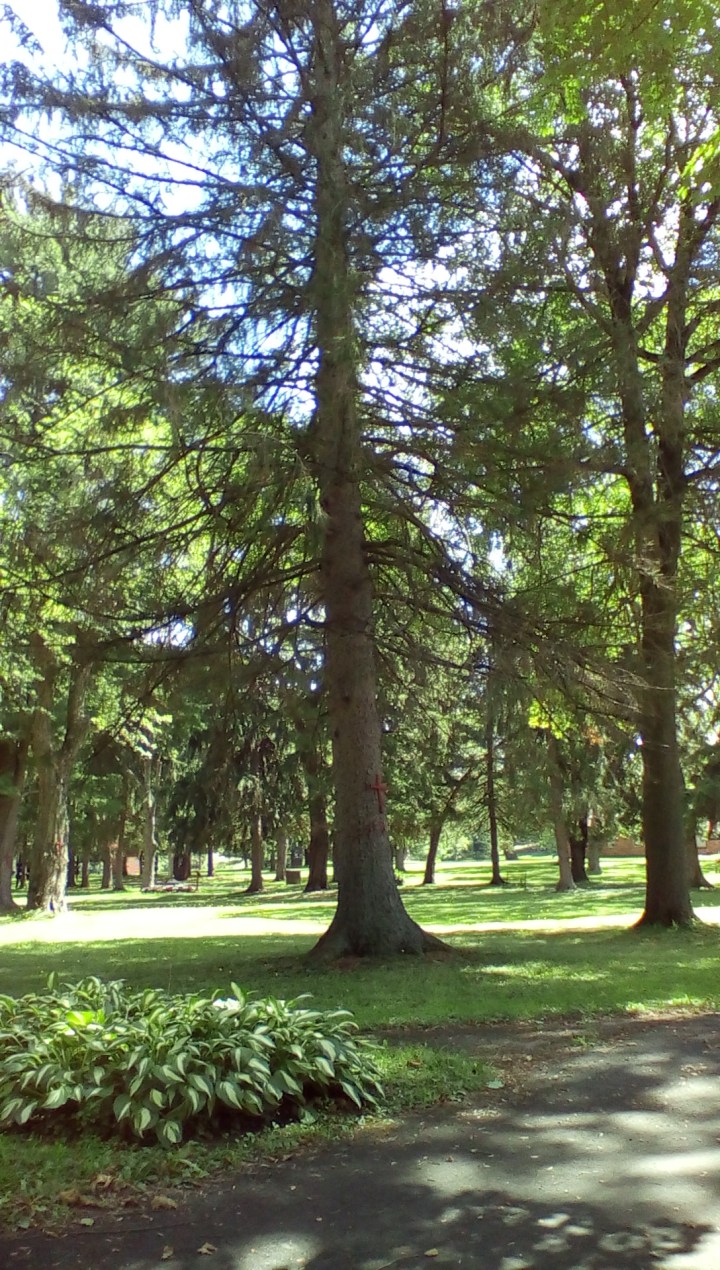 wp-1440293026664 image