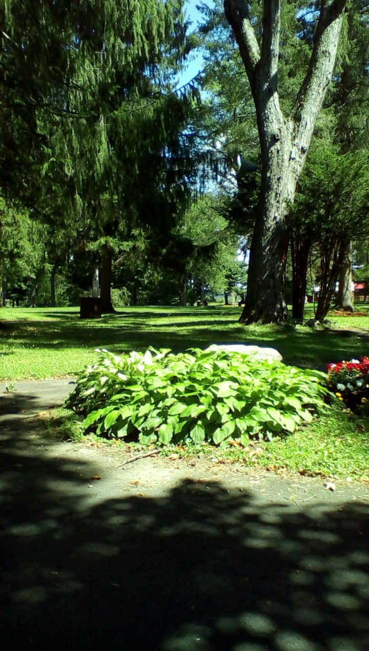 wp-1440293027209 image