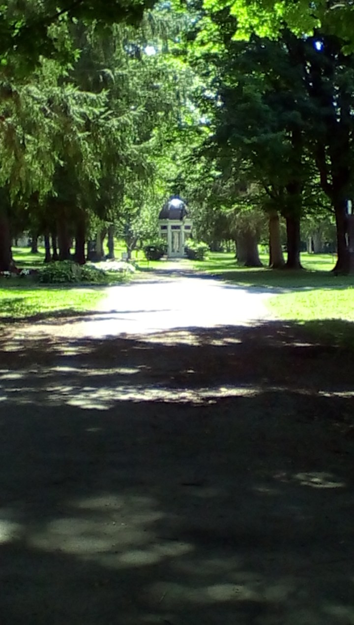 wp-1440293029395 image