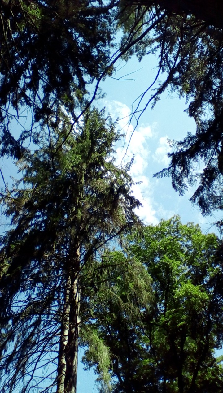 wp-1440293030313 image