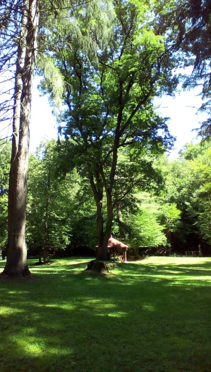 wp-1440293030837 image