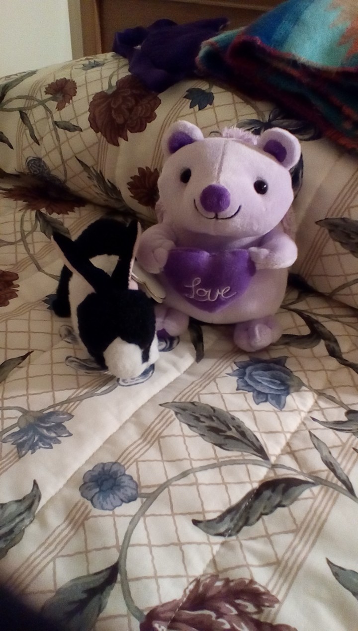 IMG_20160304_2220238_rewind.jpg image