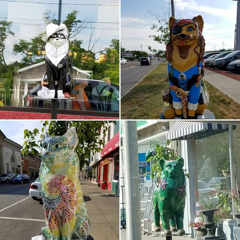 wp-1465216177543 image